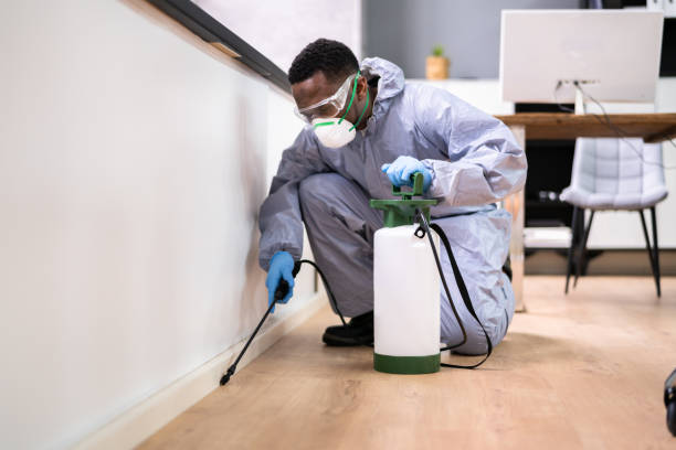 Best Fumigation Services  in Hawthorne, NY